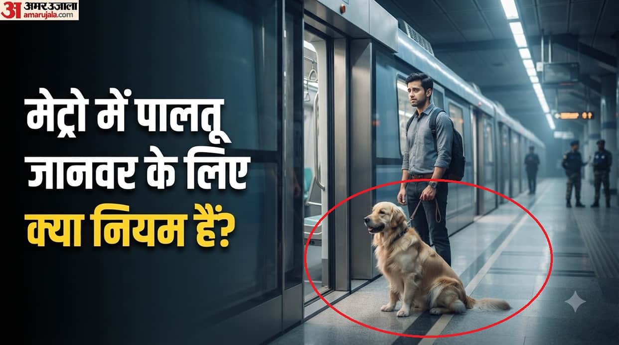 Can You Travel With a Pet Dog in Delhi Metro mein kya dog le ja sakte hain
