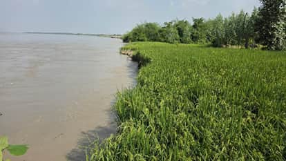 Sharda River Erosion wreaks havoc in Rura Sultanpur village of Lakhimpur Kheri
