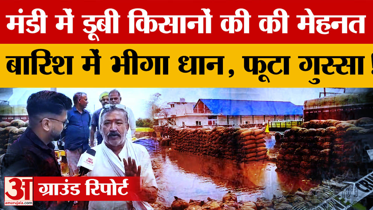 बारिश में भीगा ढाई लाख एमटी धान, खरीद एजेंसियों और ट्रांसपोर्टर पर लापरवाही के आरोप