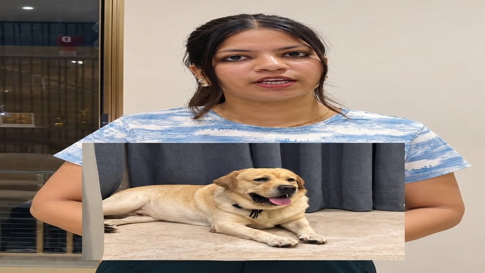 अलीगढ़: क्रिकेट रिंकू सिंह का 'ब्रूडो' लापता, बहन नेहा ने किया वीडियो जारी, पूरा परिवार है दुखी