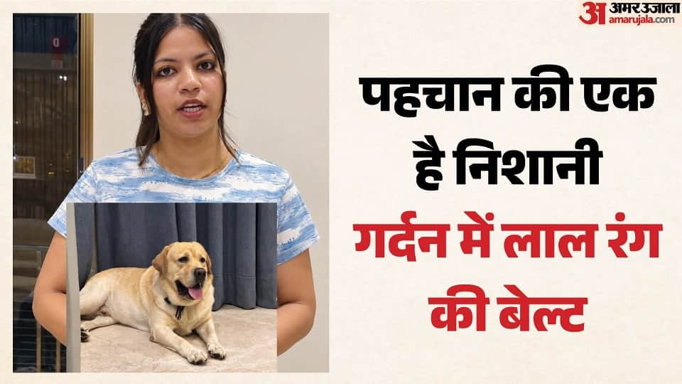 Cricketer Rinku Singh Pet Dog Brudo Missing
