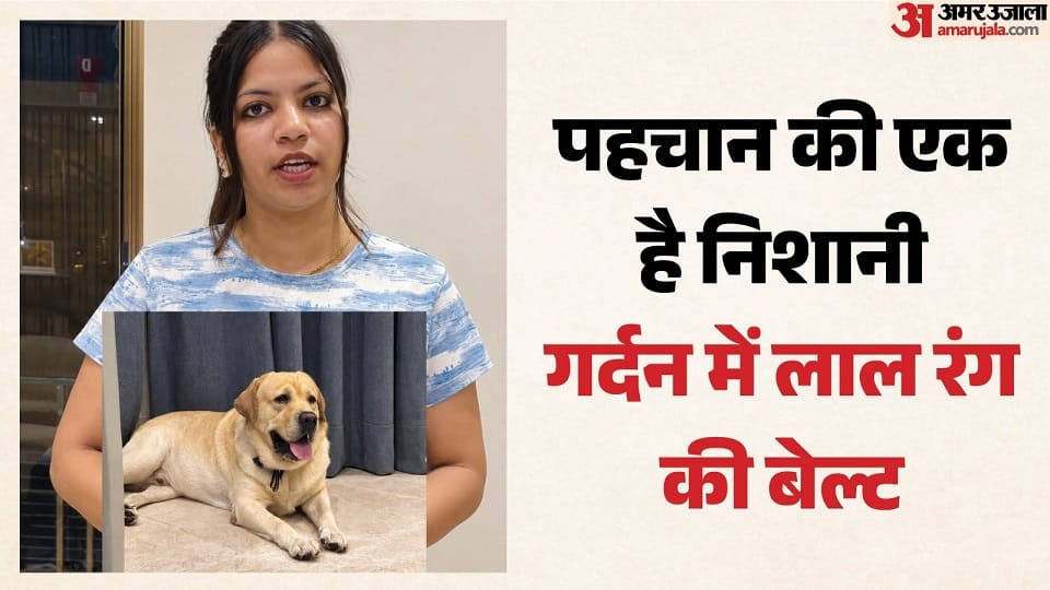 Cricketer Rinku Singh Pet Dog Brudo Missing