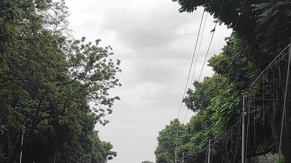 Rain in Chandigarh Mohali Panchkula