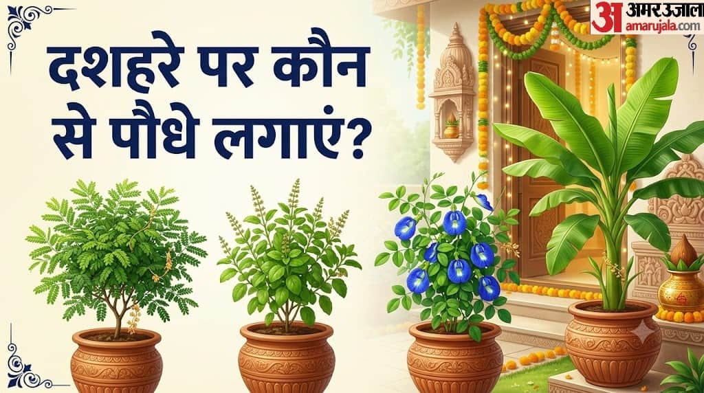 Dussehra 2026 These Plants Are Considered Auspicious for Wealth and Happiness in hindi