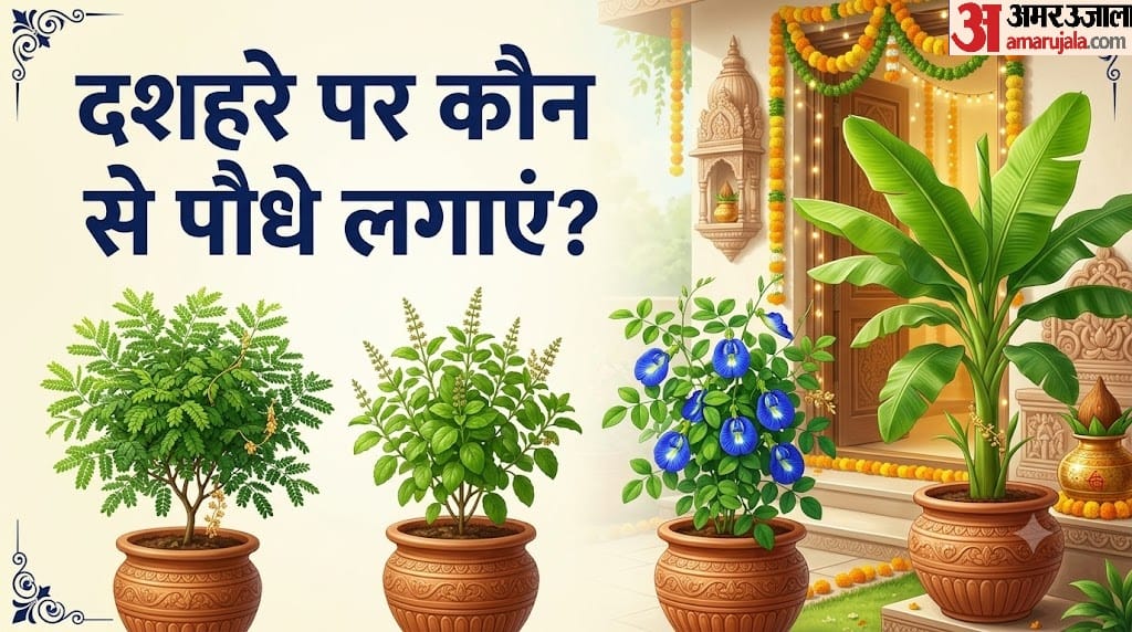 Dussehra 2026 These Plants Are Considered Auspicious for Wealth and Happiness in hindi