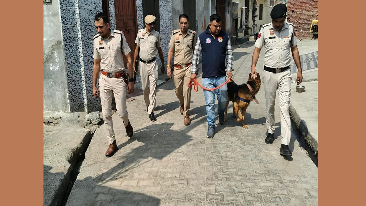 search operation was conducted in Dighal village, with the assistance of a dog squad in Jhajjar