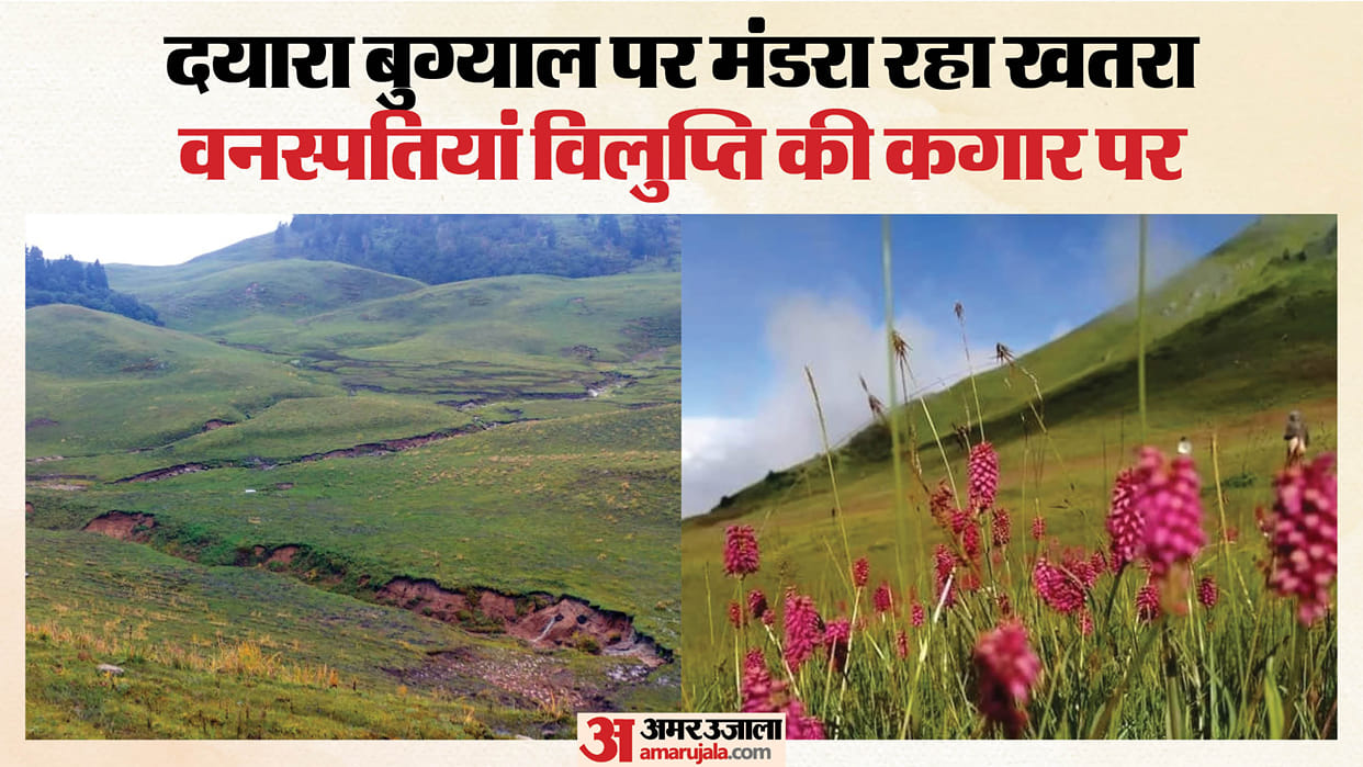 Uttarkashi dayara bugyal faces ecological threat as landslides and land subsidence damage alpine meadows