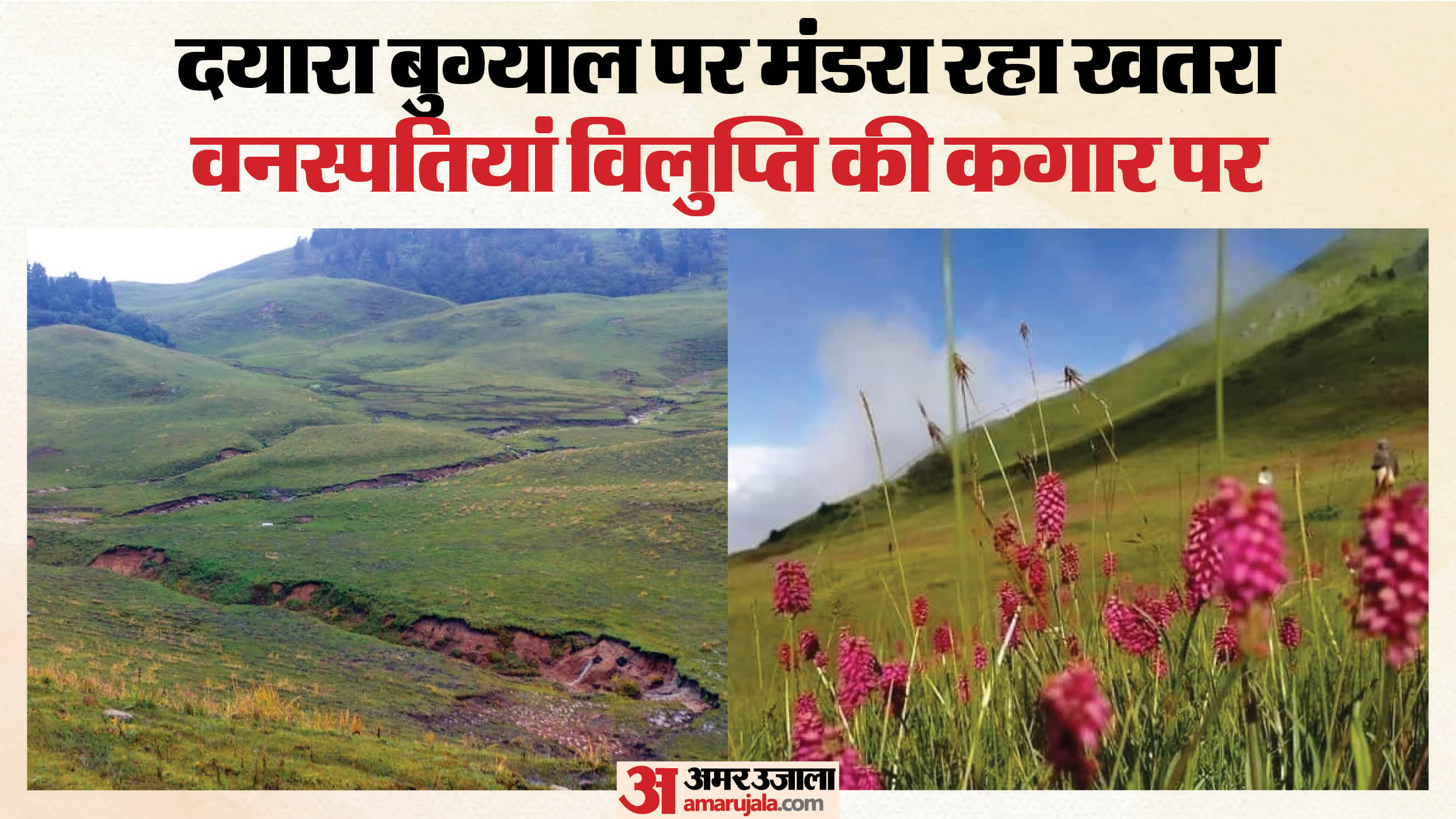 प्रसिद्ध दयारा बुग्याल