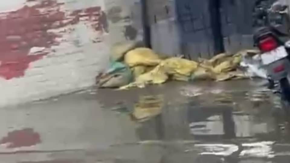 Weather changes in Punjab Rain accompanied by strong winds
