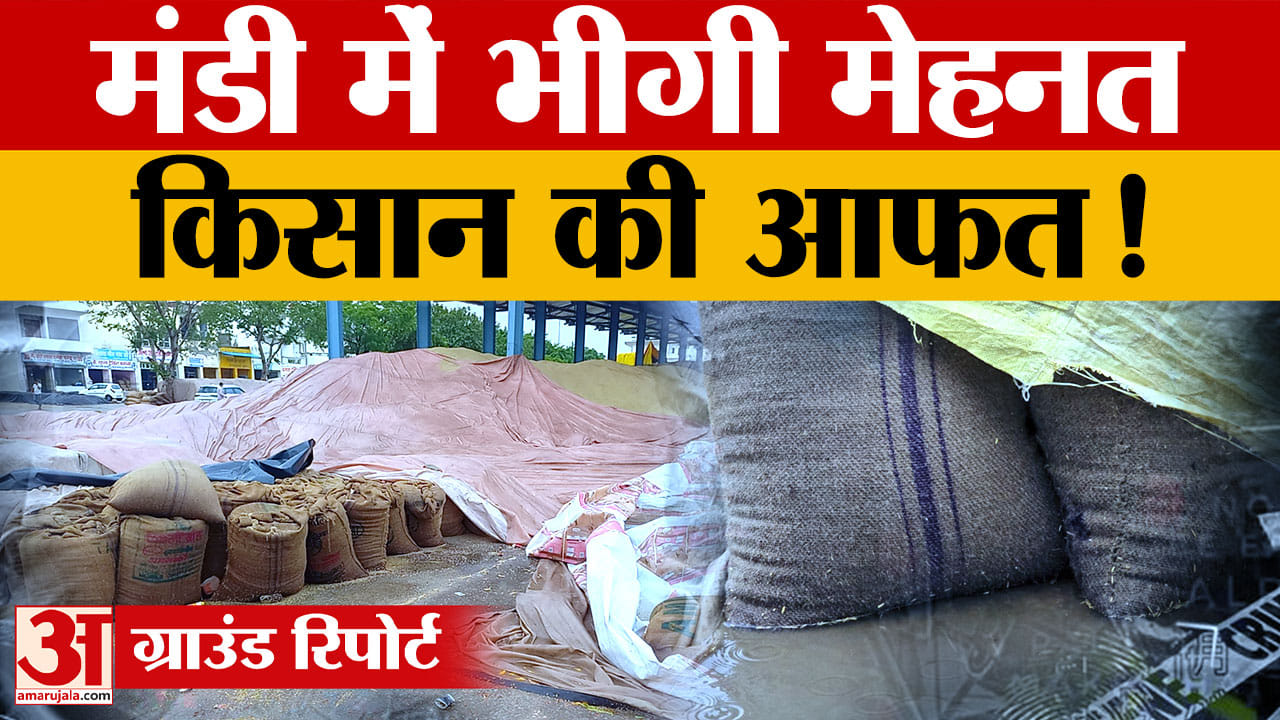 हरियाणा की मंडियों में बारिश से भीगा धान और बाजरा, उठान में देरी से किसानों की बढ़ी परेशानी