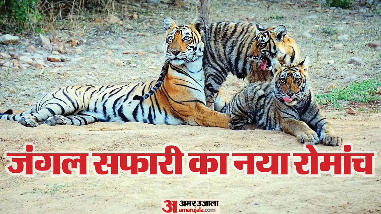 Ranthambore, Kuno and Madhav to Join Wildlife Tourism Circuit