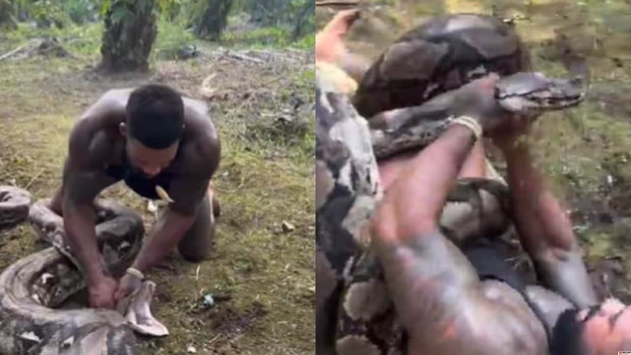 19 Foot Python Wraps Around Influencer Mike Holston Watch How He Escapes