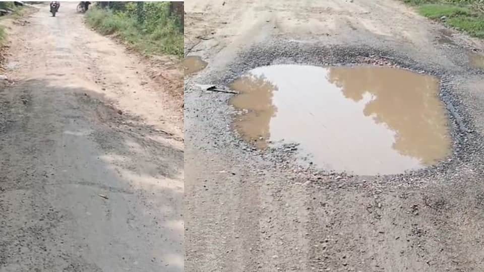 Road in village that produced IAS and IPS officers is in shambles; people getting injured due to potholes.