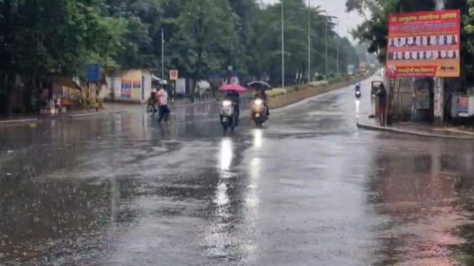 West UP Weather: Strong Winds, Rain and Hail Hit Parts of the Region, Farmers Fear Crop Damage