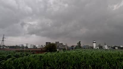 West UP Weather: Strong Winds, Rain and Hail Hit Parts of the Region, Farmers Fear Crop Damage