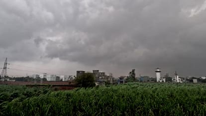 West UP Weather: Strong Winds, Rain and Hail Hit Parts of the Region, Farmers Fear Crop Damage
