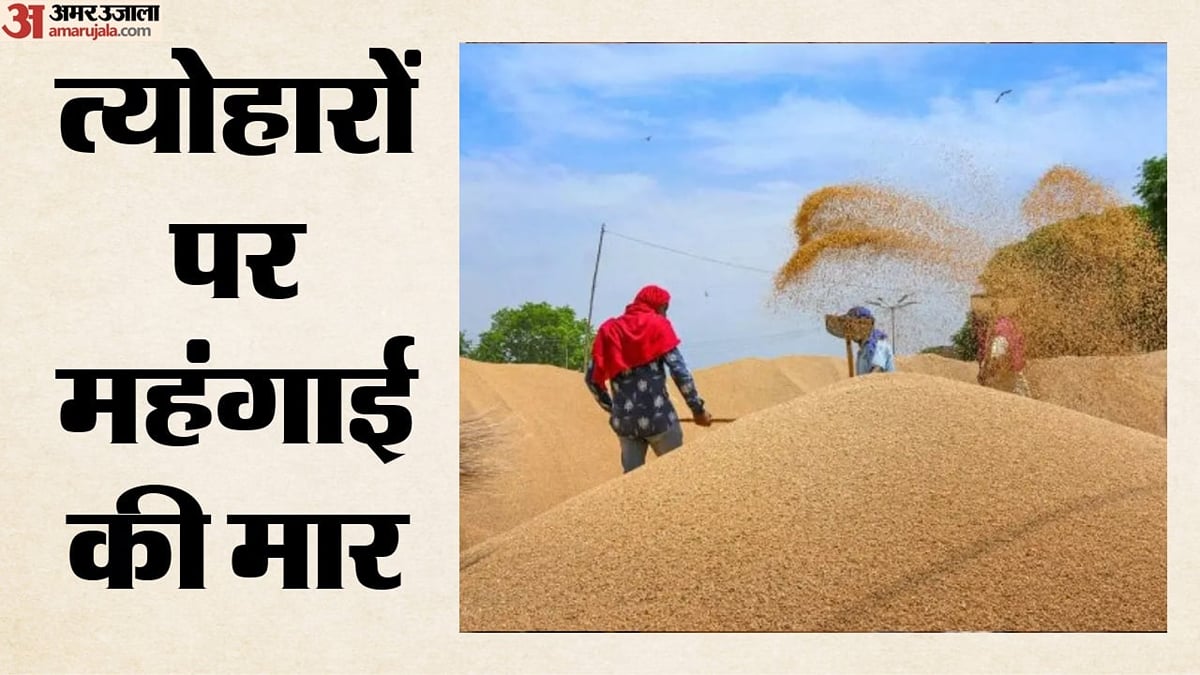 गेहूं की कीमतों में उबाल: 50 दिनों में 150 रुपये से ज्यादा उछले भाव; जानिए आटा, मैदा और ब्रेड-बिस्कुट पर असर