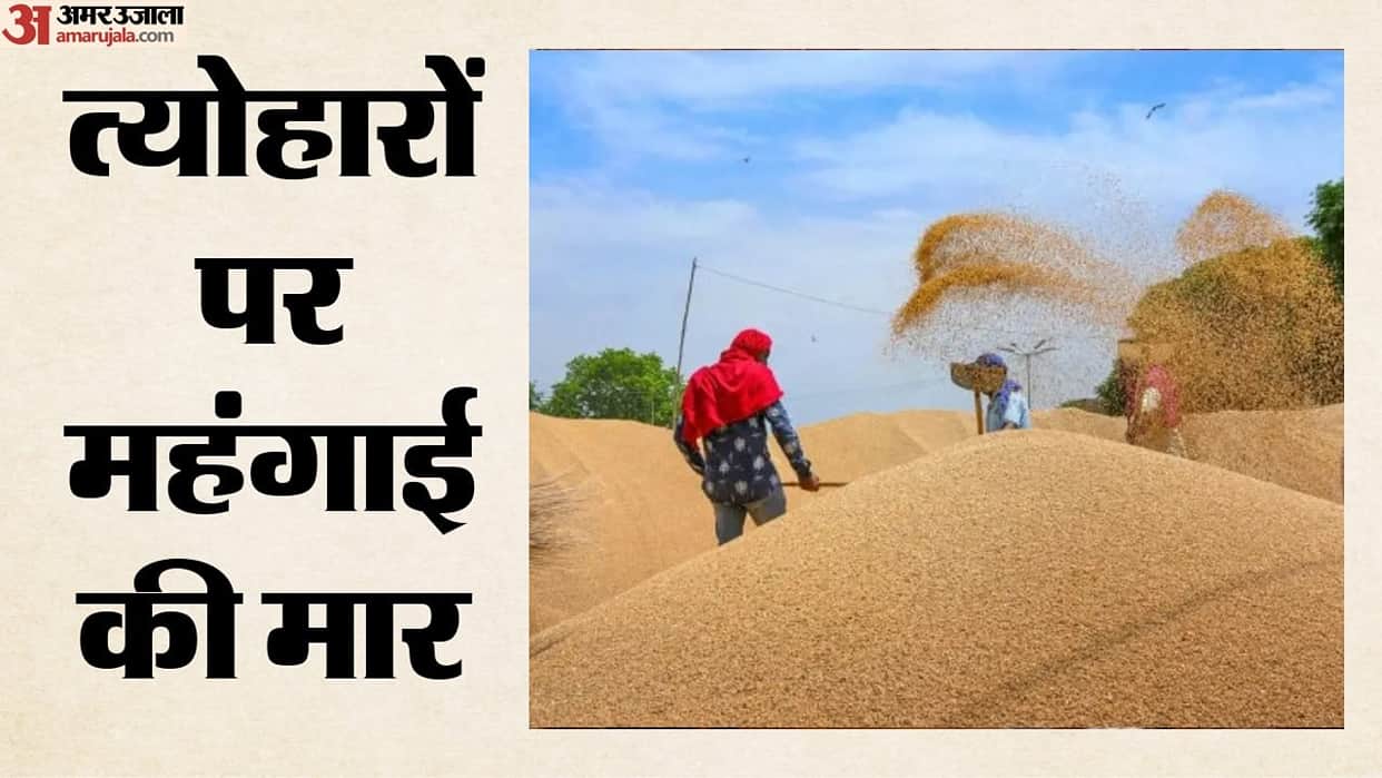 Wheat Prices Surge Over ₹150 Per Quintal in 50 Days Post Export Restrictions Removal