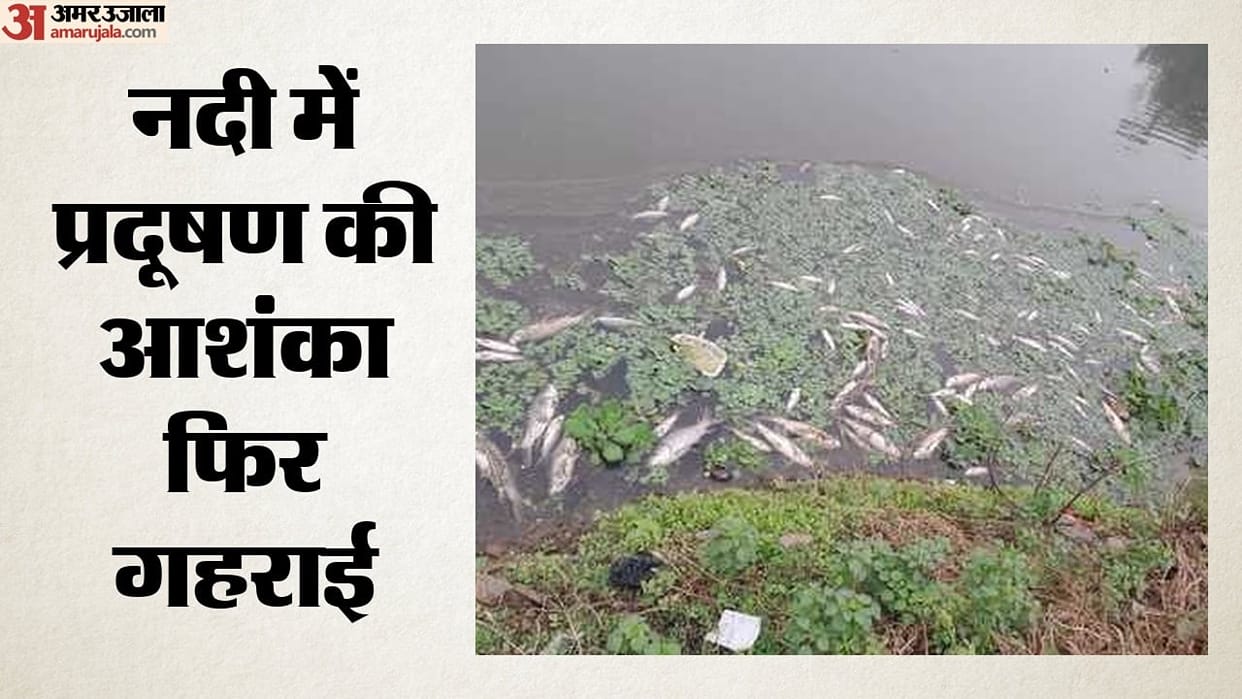Dead fish found in Yamuna, Delhi