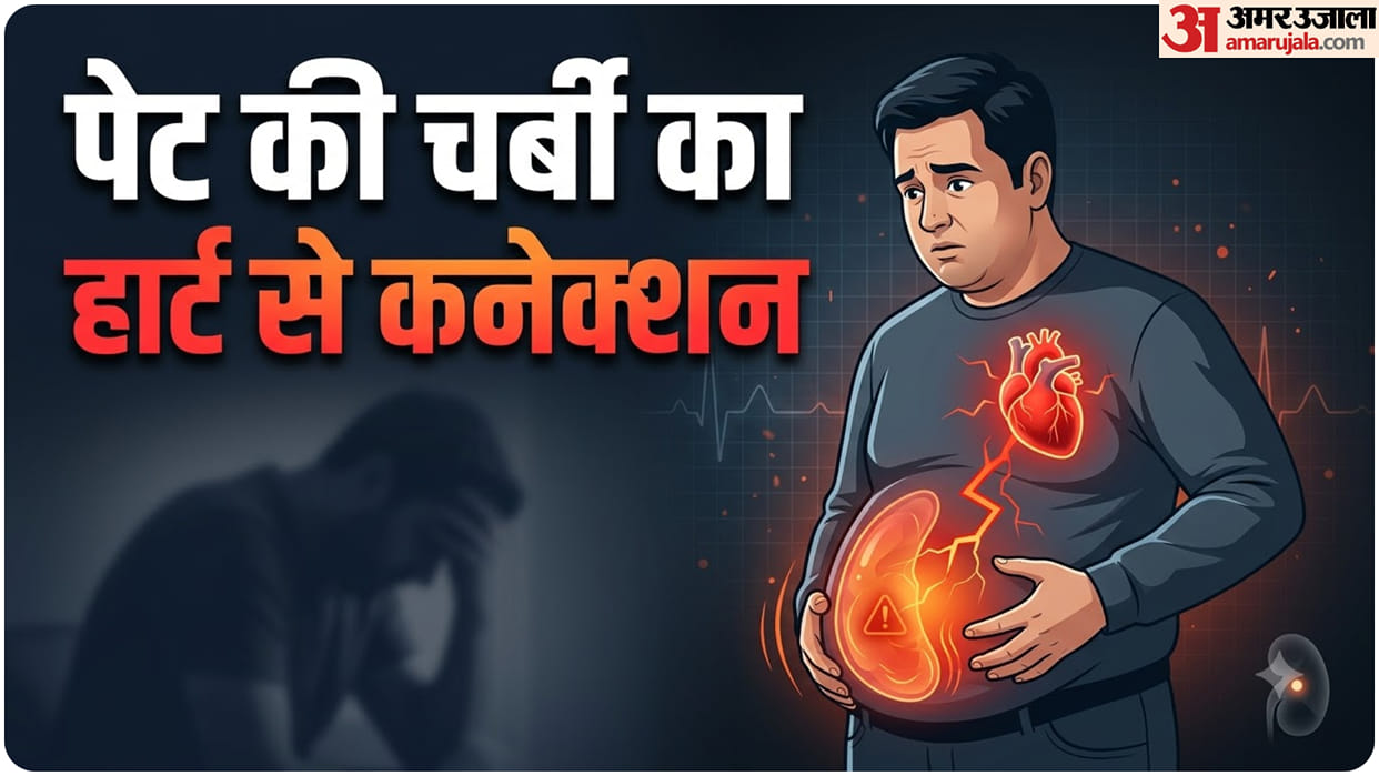 why Belly Fat is Dangerous for Your Liver and Heart Visceral Fat health effects