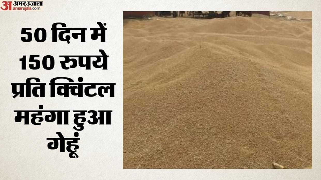 Wheat Prices Rise 5 Percent India Export Ban Lifted Flour Price Hike