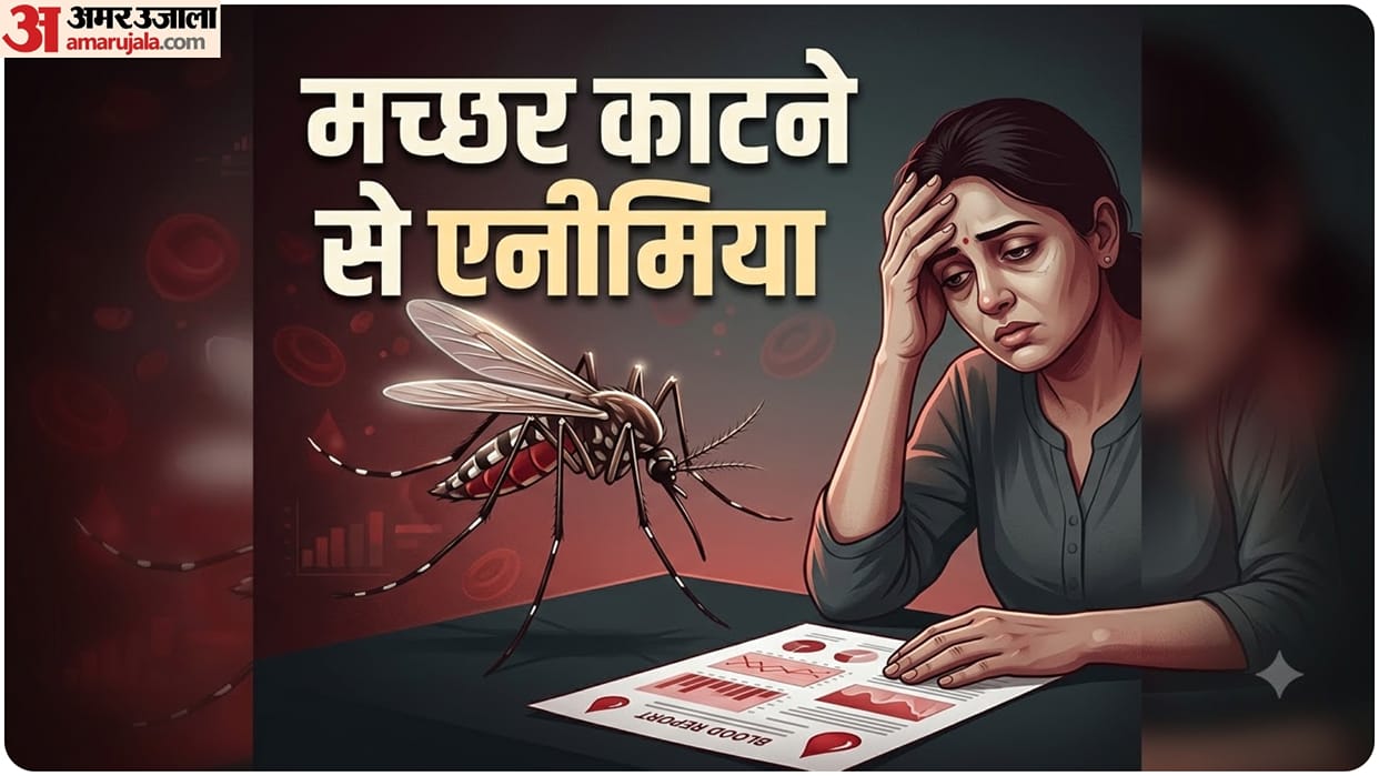 How Malaria Damages Red Blood Cells and Lowers Hemoglobin know anemia risk factors