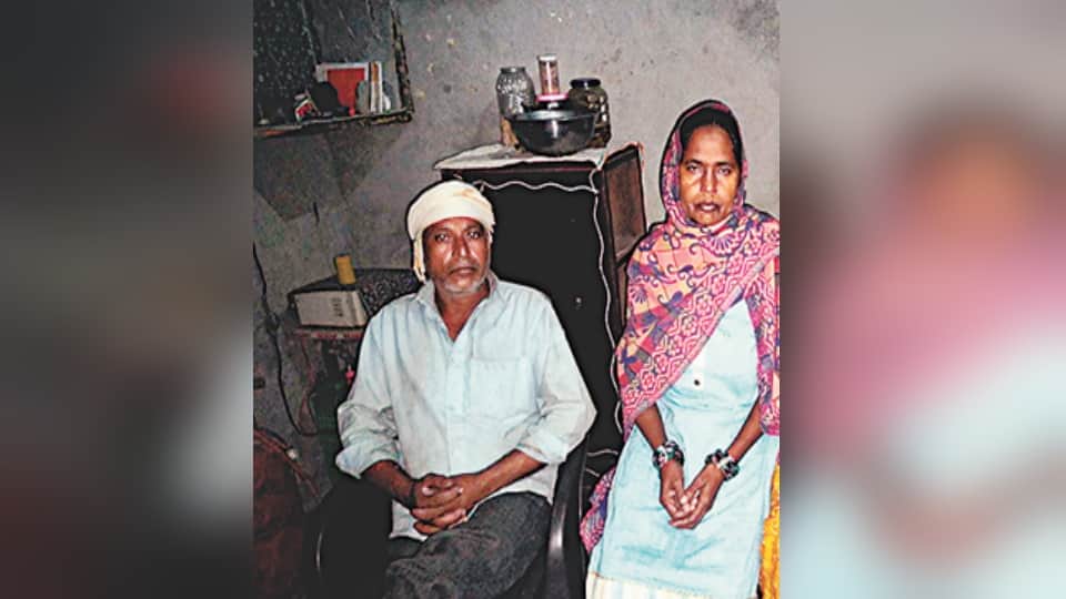 Meerut Snake Case: The Number 12 Connects Amit Kashyap Murder, 12 Witnesses Presented in Court