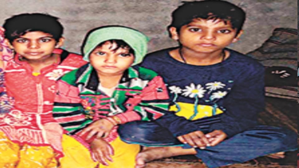 Meerut Snakebite Murder Case: Amit's Mother Demands Death Penalty for Convicts Before Sentencing