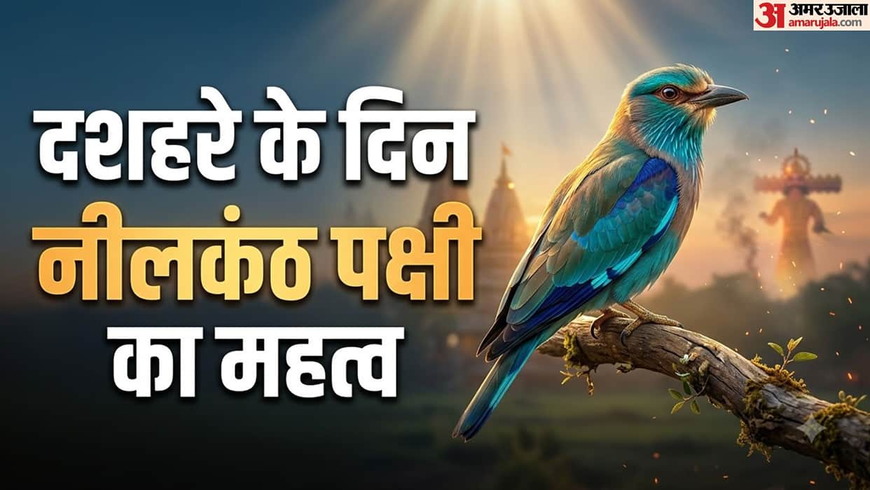 Dussehra 2026 Neelkanth Bird Sighting and Its Religious Significance on Vijayadashami