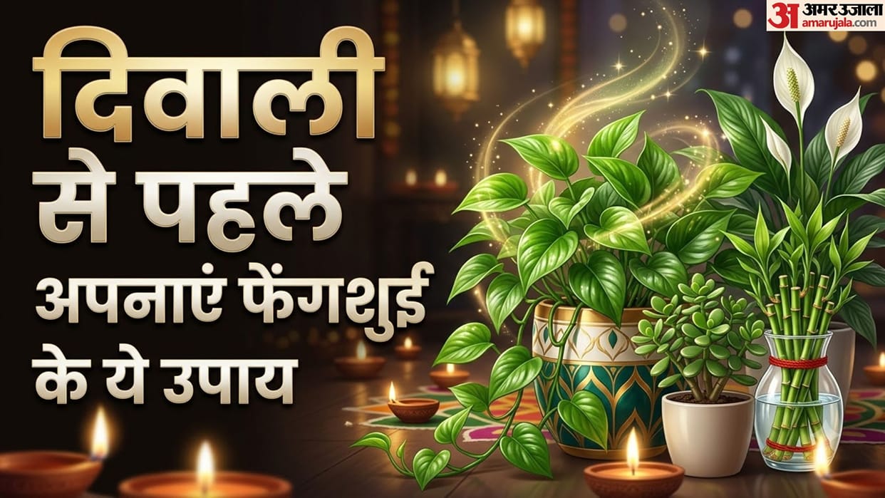 Bring Home These 4 Feng Shui Plants Before Diwali to Attract Wealth and Prosperity
