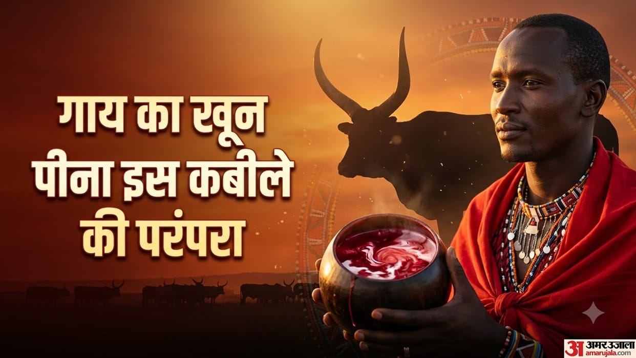 Maasai Tribe Why Do People Mix Cow Blood With Milk Know all details here