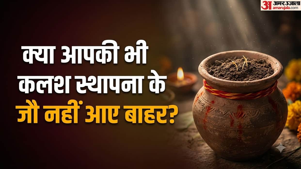What Does It Mean If Barley Does Not Sprout During Navratri? Know Auspicious and Inauspicious Signals
