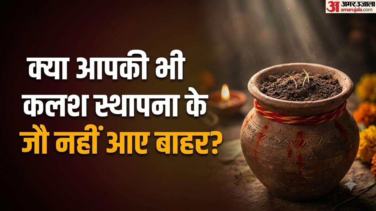 What Does It Mean If Barley Does Not Sprout During Navratri? Know Auspicious and Inauspicious Signals