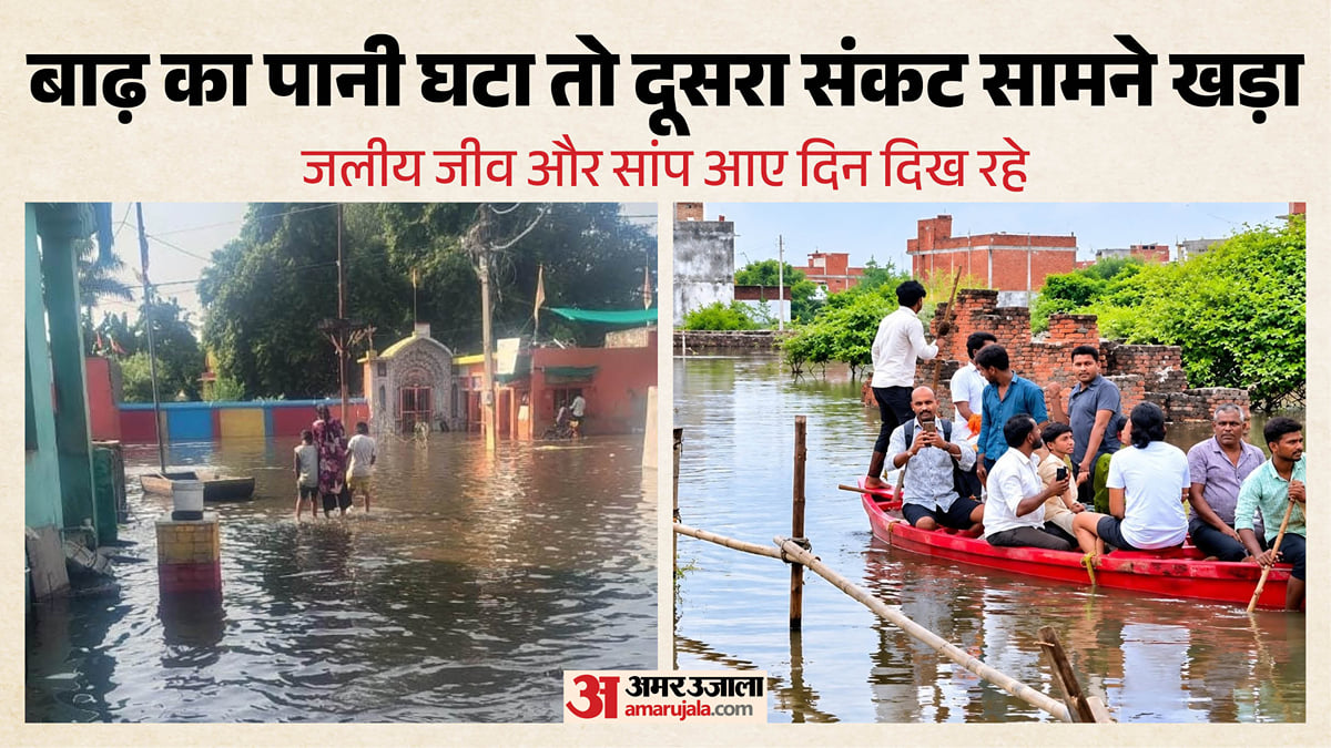 यूपी: लखनऊ में बाढ़ का पानी उतरा, अब जहरीले जीवों का खतरा, निकल रहे सांप; गंदगी, दुर्गंध से लोग परेशान