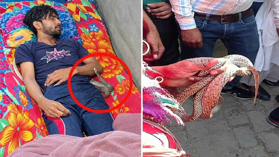 Meerut Snakebite Murder case Amit Kashyap Wife Ravita and Lover Get Death Sentence, Pleas Rejected