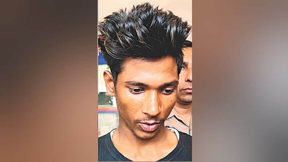 Meerut Snakebite Murder case Amit Kashyap Wife Ravita and Lover Get Death Sentence, Pleas Rejected