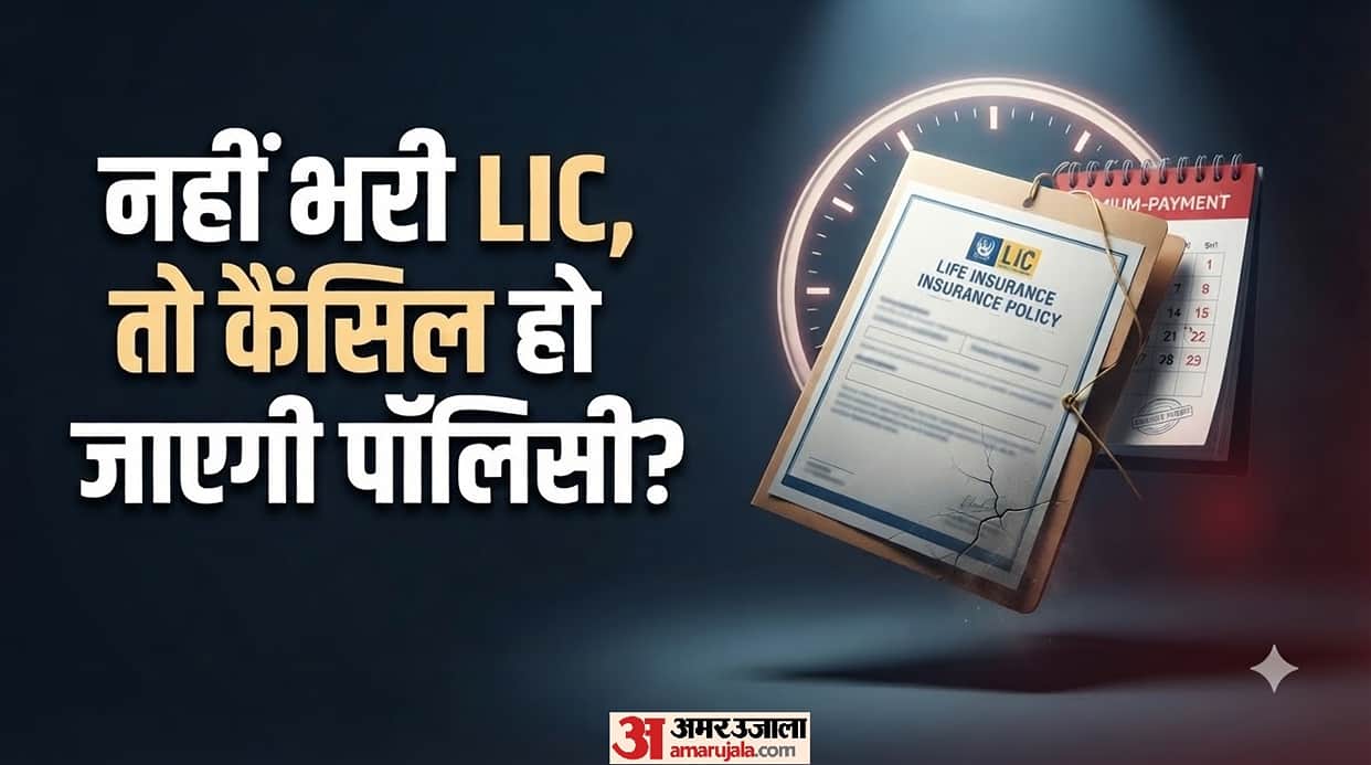 LIC Premium Missed: Will Your Policy Be Cancelled? Know the Rules