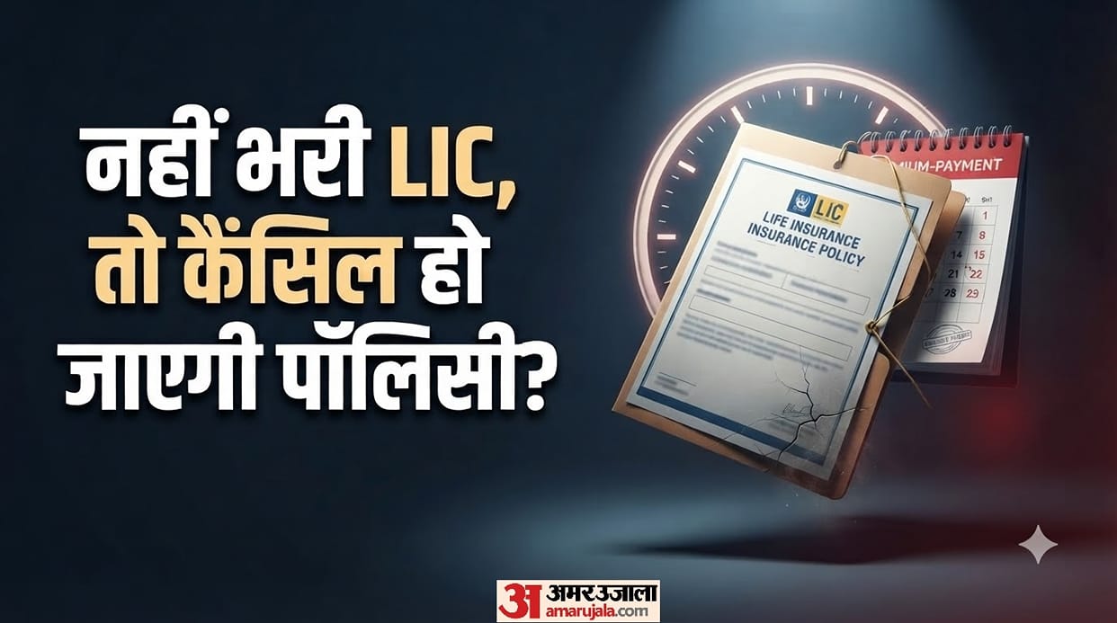 LIC Premium Missed: Will Your Policy Be Cancelled? Know the Rules