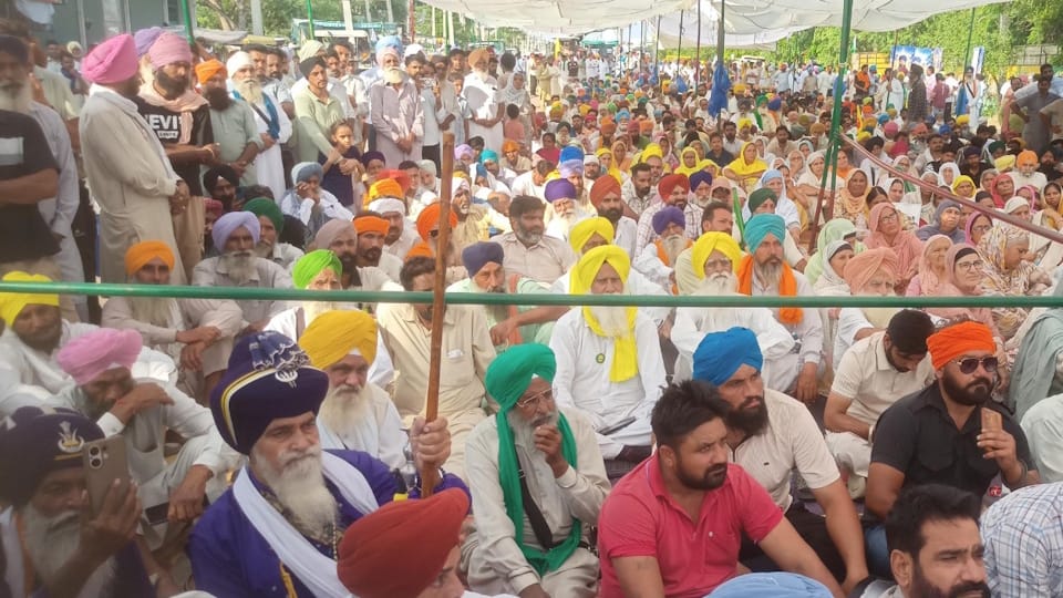 Parvinder Jhota Murder Case Wife Knew of Ashwini Plan Intoxicating pills sourced from Mohali several reveal