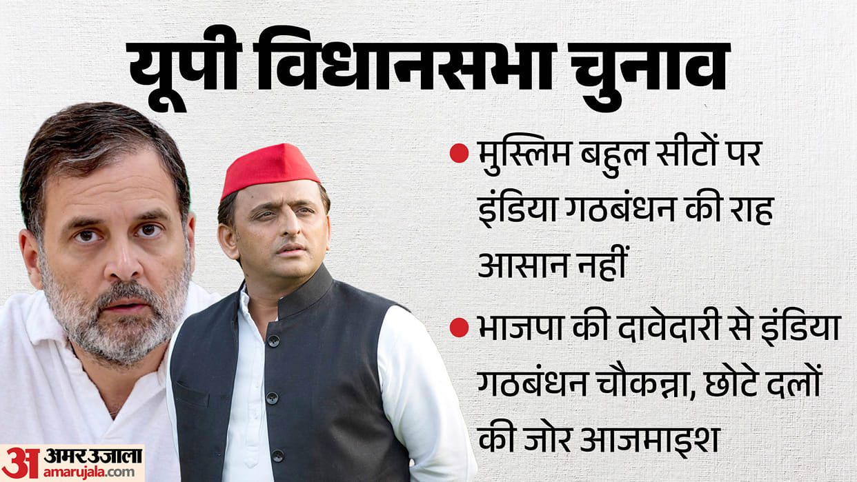UP Election 2027: Soft Hindutva vs PDA as INDIA Bloc Faces Challenges in Muslim-Dominated Seats