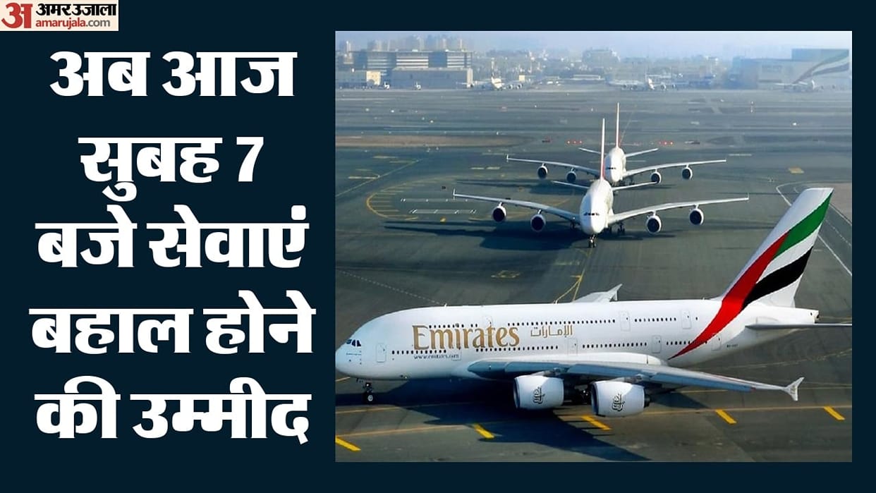 Delhi: Bird hits Emirates aircraft at IGI Airport