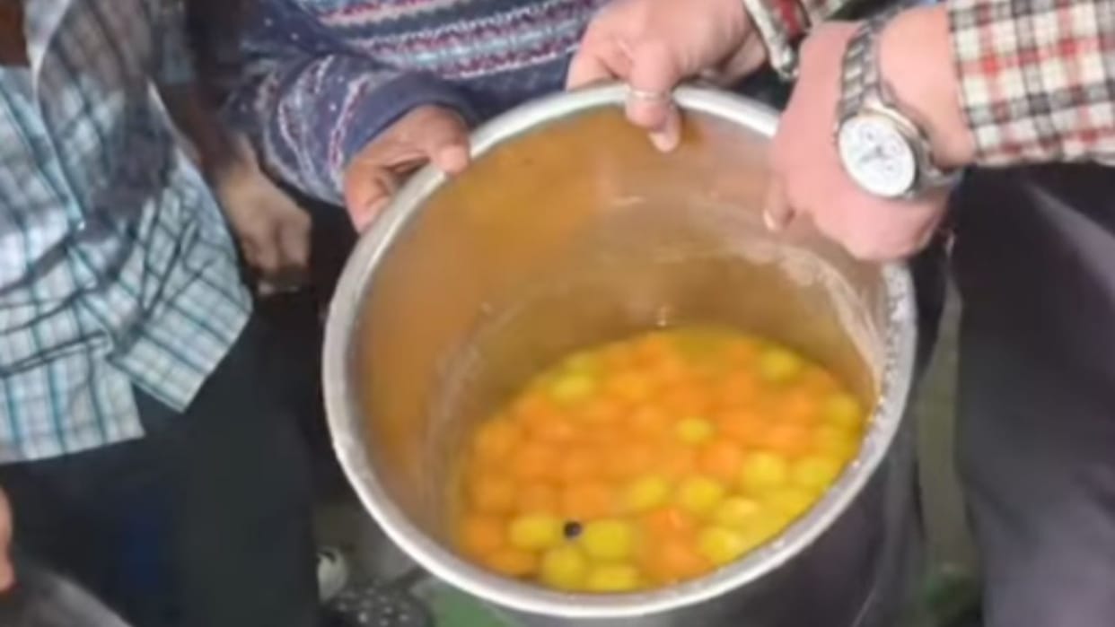 shimla dead cockroaches rasgulla gulab jamun food safety inspection