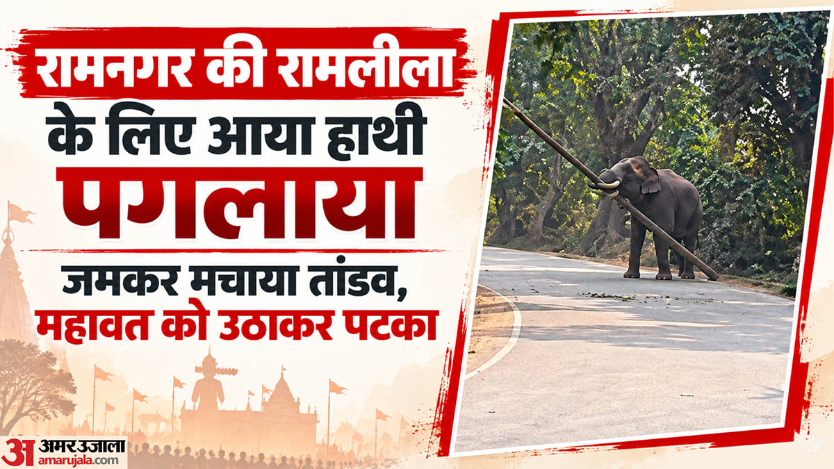 हाथी ने मचाया तांडव: महावत को कई बार पटका, पुलिस ने बंद किया दो किमी तक का रास्ता; रामलीला के लिए आया था