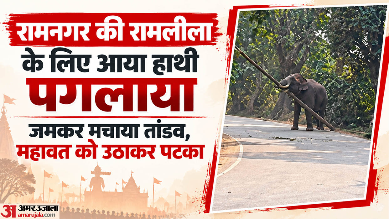 Ramnagar out-of-control elephant mahout ground injured incident caused widespread panic police halt traffic