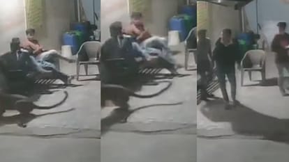 तेंदुए की खौफनाक फुर्ती, पलक झपकते ही कुत्ते पर किया हमला और लोगों के बीच से उठा ले गया
