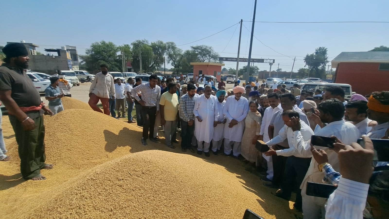 मंडी में पहुंचे कृषि मंत्री श्याम सिंह राणा