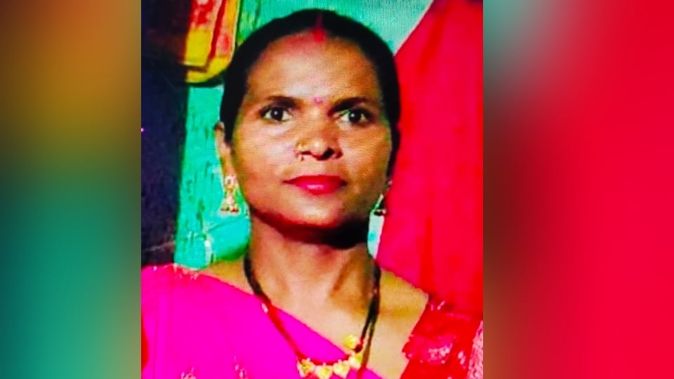 Meerut: Woman returning home after offering 'prasad' at a temple dies after being run over by a train