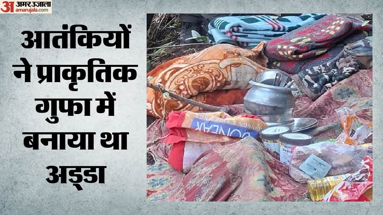 Plot foiled in Budgam: Terrorist hideout in the forest destroyed