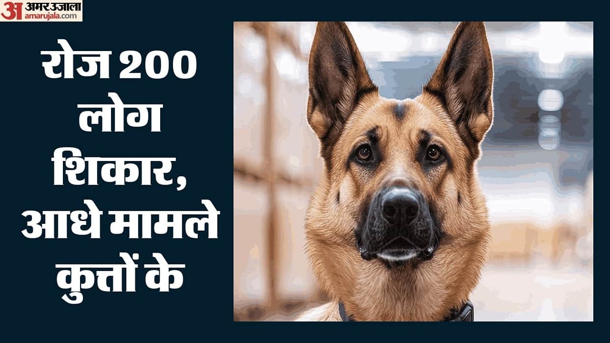 Animal attacks in Delhi have increased fivefold over four years.