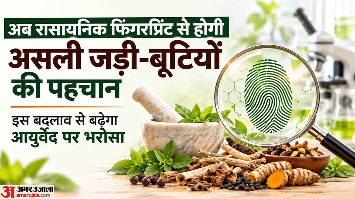 UP: Herbs can now be tested scientifically, 'chemical fingerprints' will become the basis for identification.
